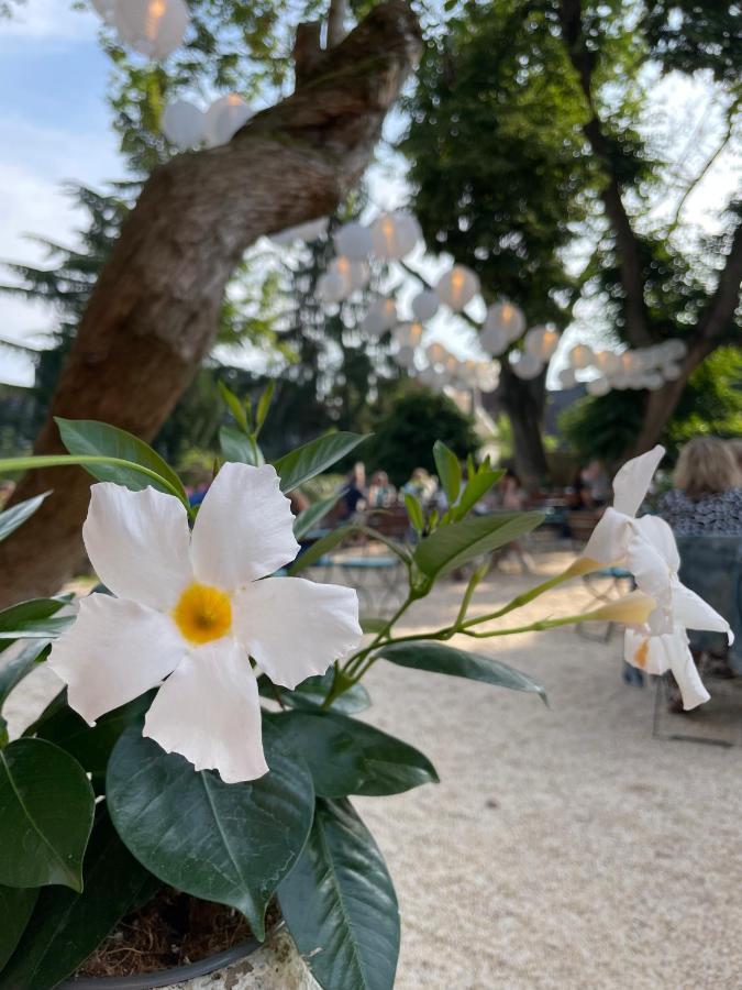 Weinhotel Koegler Eltville am Rhein Eksteriør billede