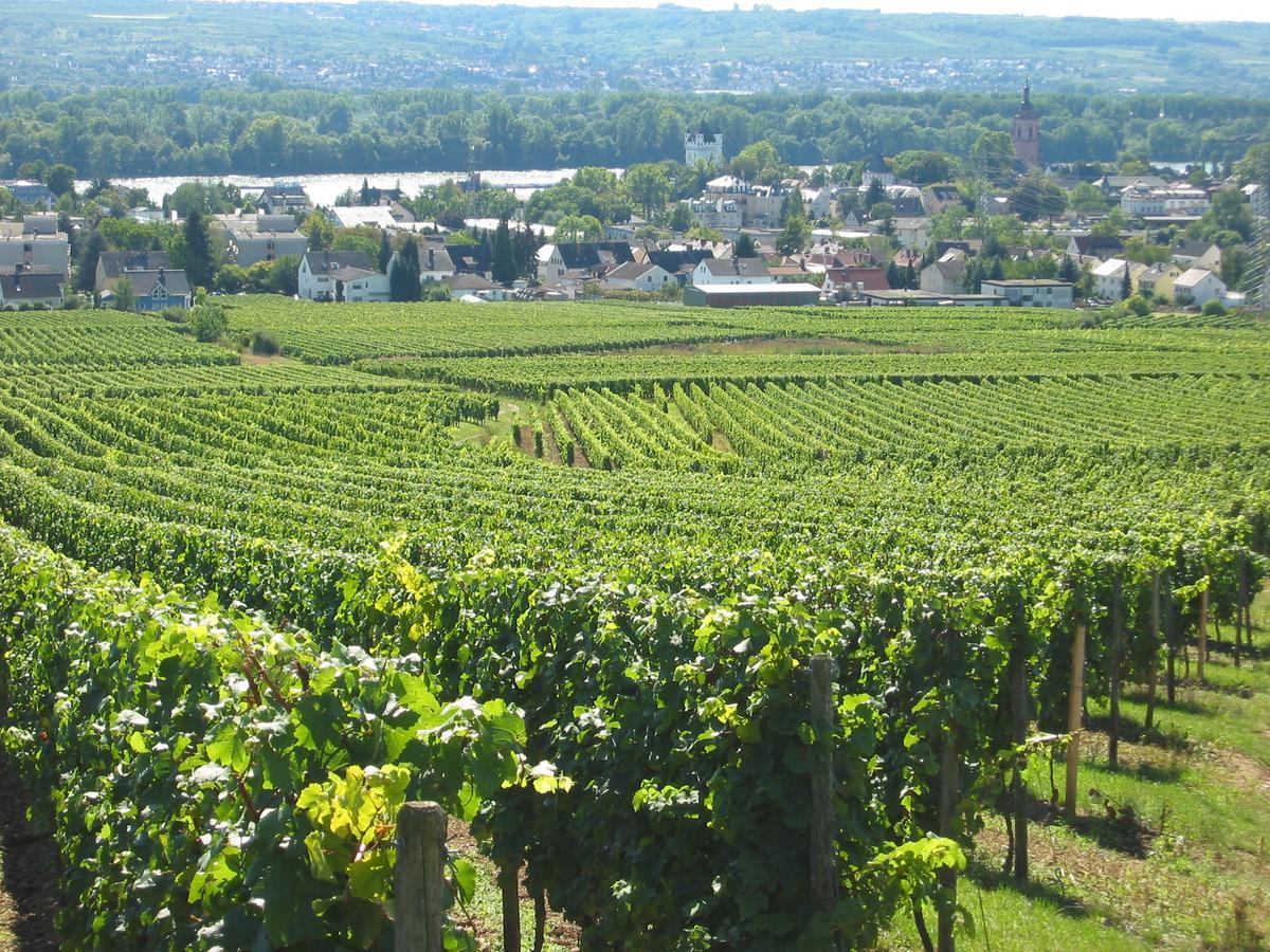 Weinhotel Koegler Eltville am Rhein Eksteriør billede